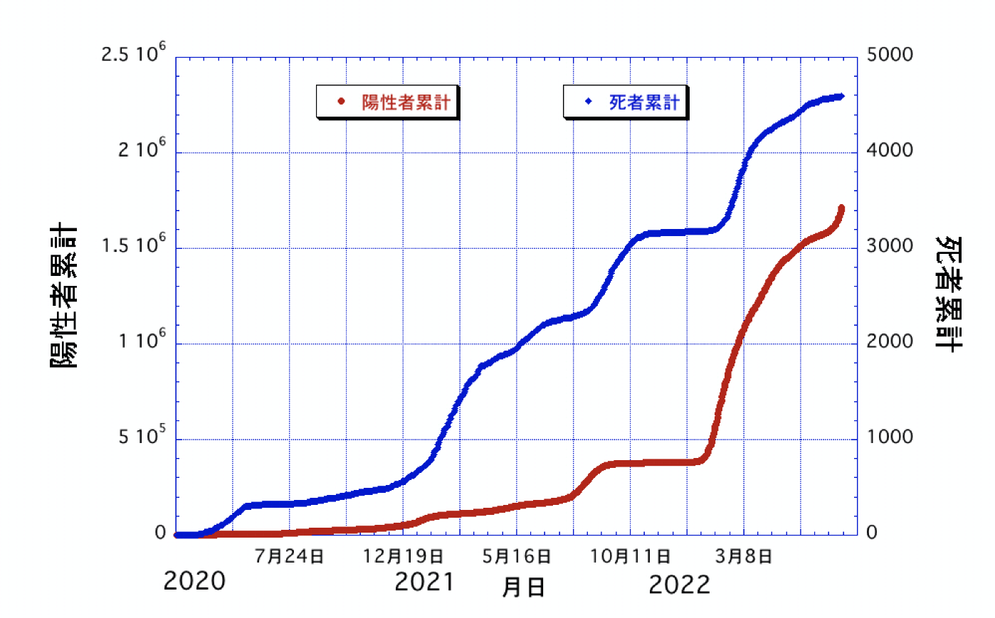 東京感染者